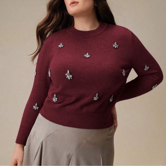 Anew Sweaters - ♥️ PLUS Embellished Sweater ♥️